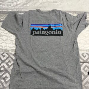 Patagonia Heather Gray Responsibili-Tee